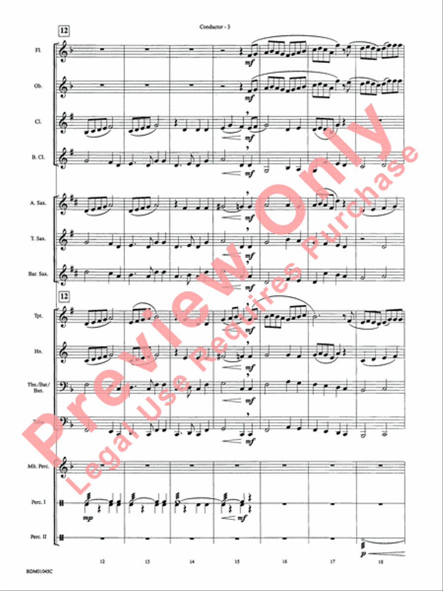 Ayrshire Portrait Concert Band scores gallery preview page 6