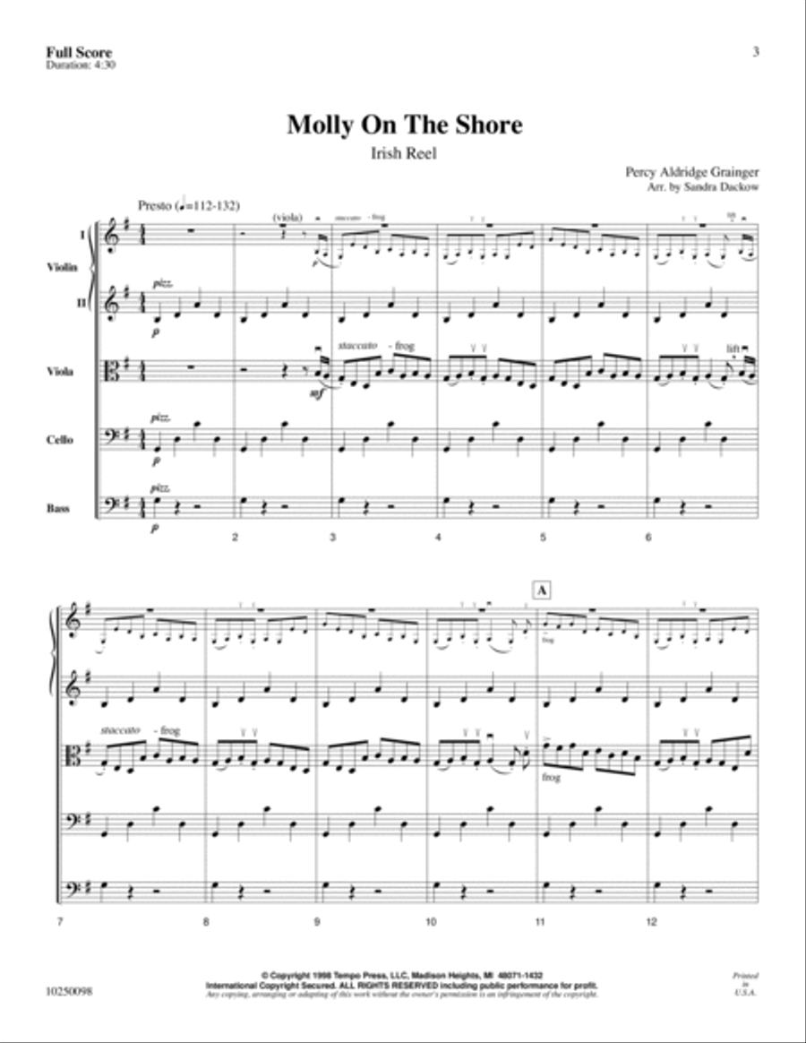 Molly on the Shore Orchestra scores gallery preview page 2