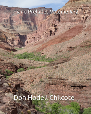 Book cover for Piano Preludes Volume #72