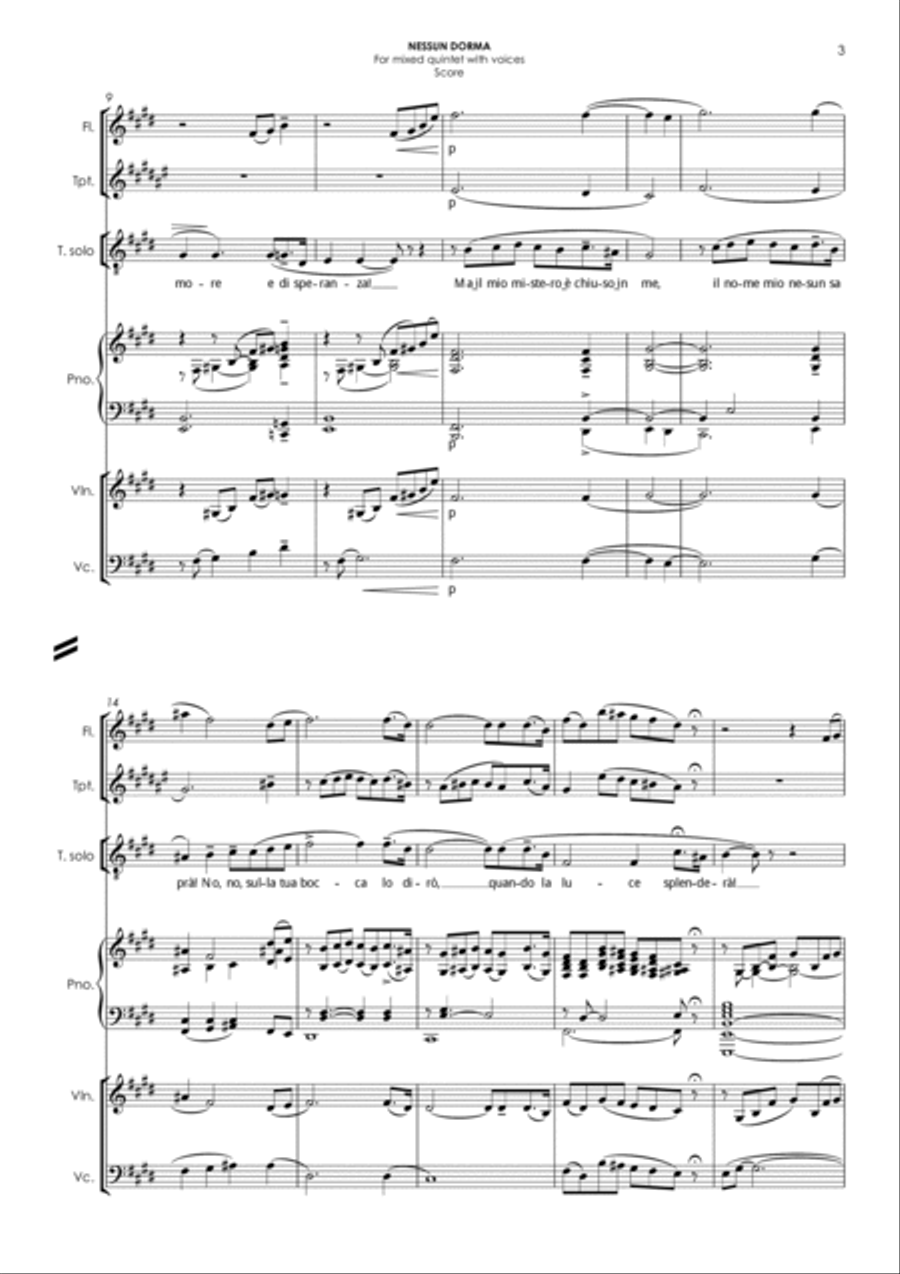 NESSUN DORMA (in E) - for voices & flexible quintet Small Ensemble scores gallery preview page 3