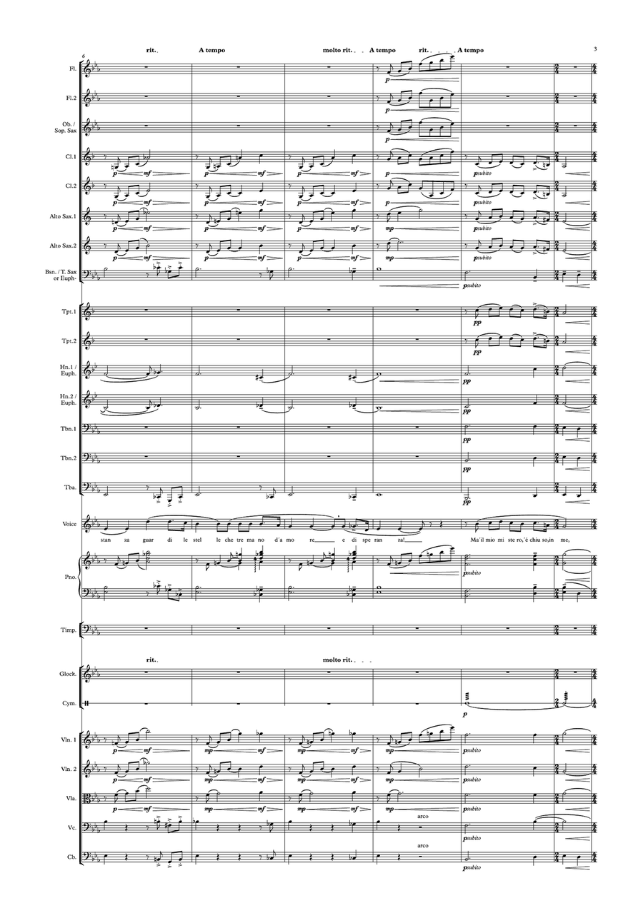 Nessun dorma Chamber Orchestra scores gallery preview page 5