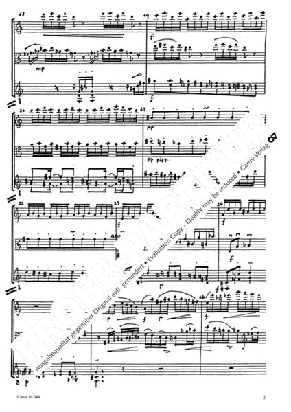 Diabelli-Trio by Eva Schorr Flute - Sheet Music
