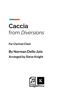Book cover for Diversions: Caccia