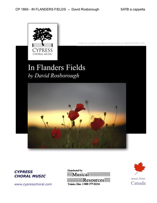 In Flanders Fields - by David Rosborough