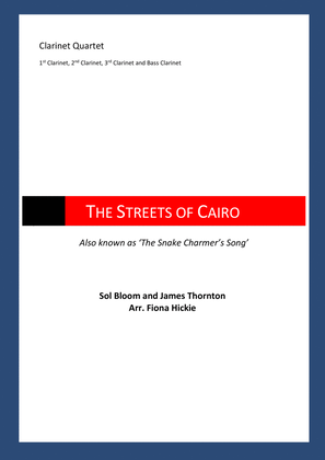 Book cover for Streets of Cairo