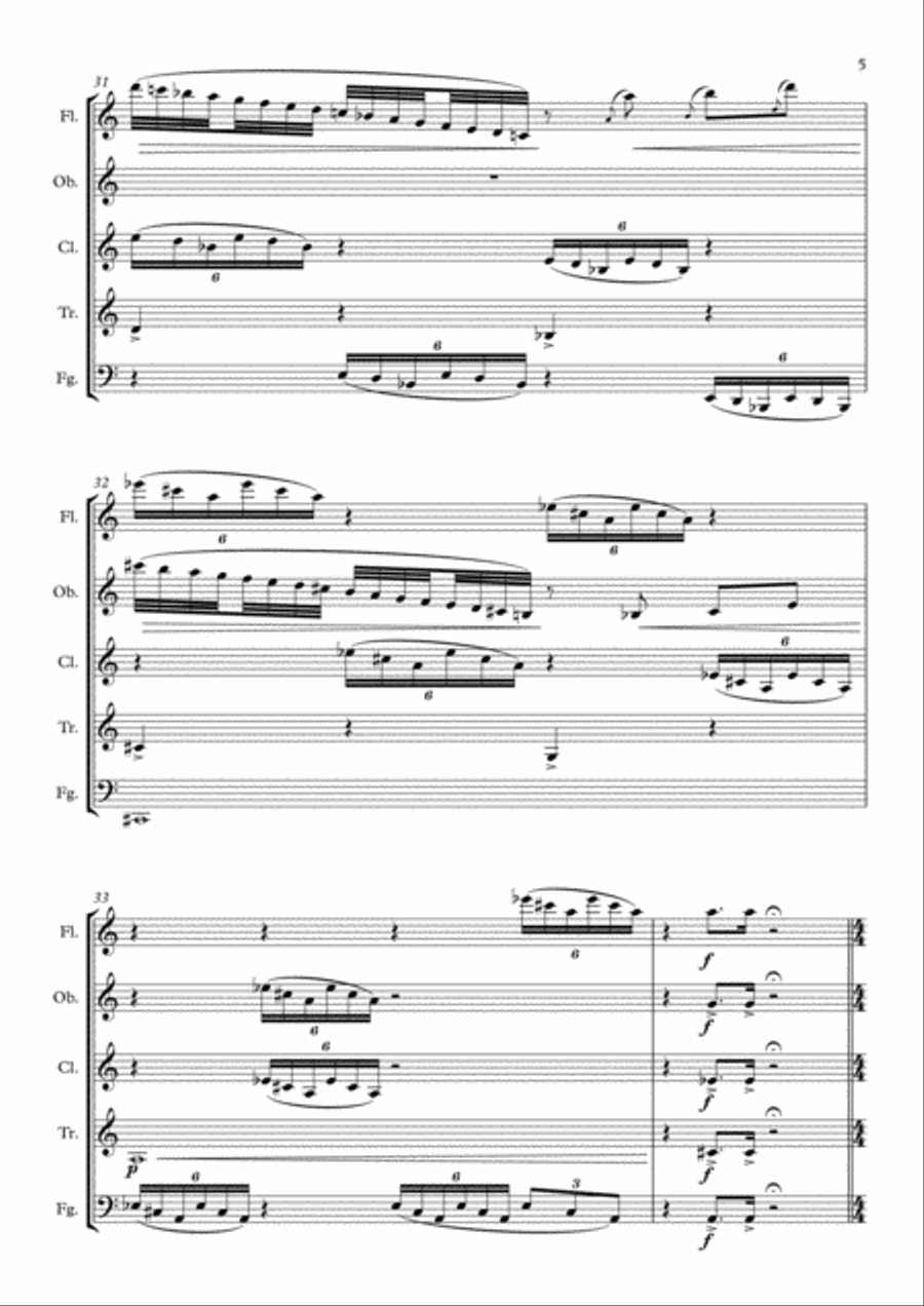 Variações Seresteiras (Woodwind quintet) Woodwind Quintet scores gallery preview page 5