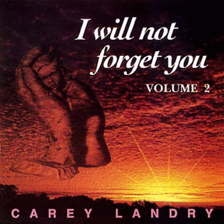 I Will Not Forget You, Volume 2