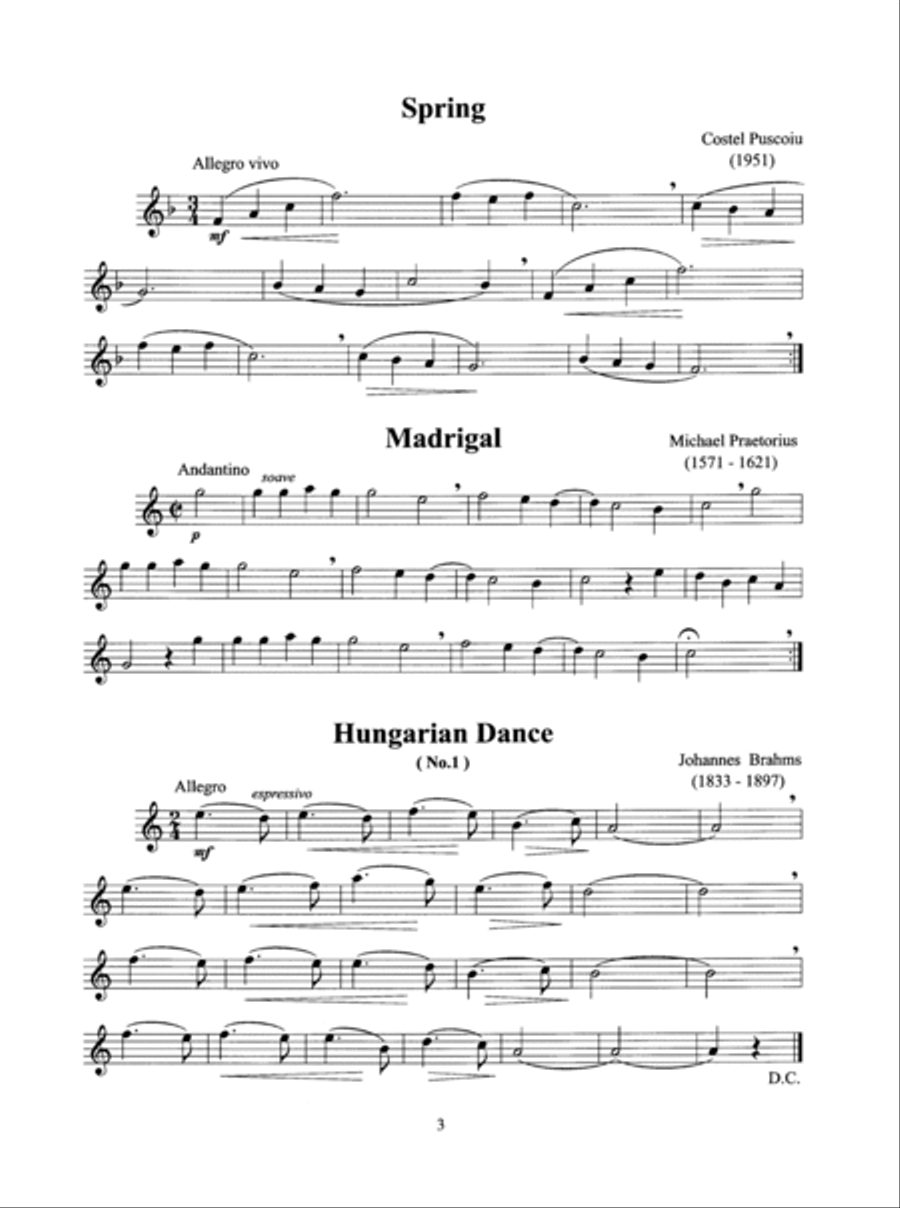 Solo Pieces for the Beginning Treble/Alto Recorder