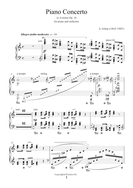Concerto in A minor Op.16 by Edward Grieg for piano 