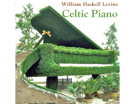 CELTIC PIANO - Flight of the Pixie image number null