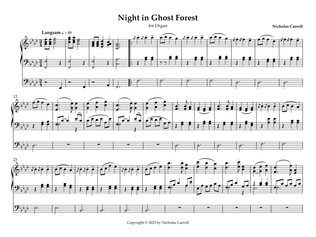 Night in Ghost Forest