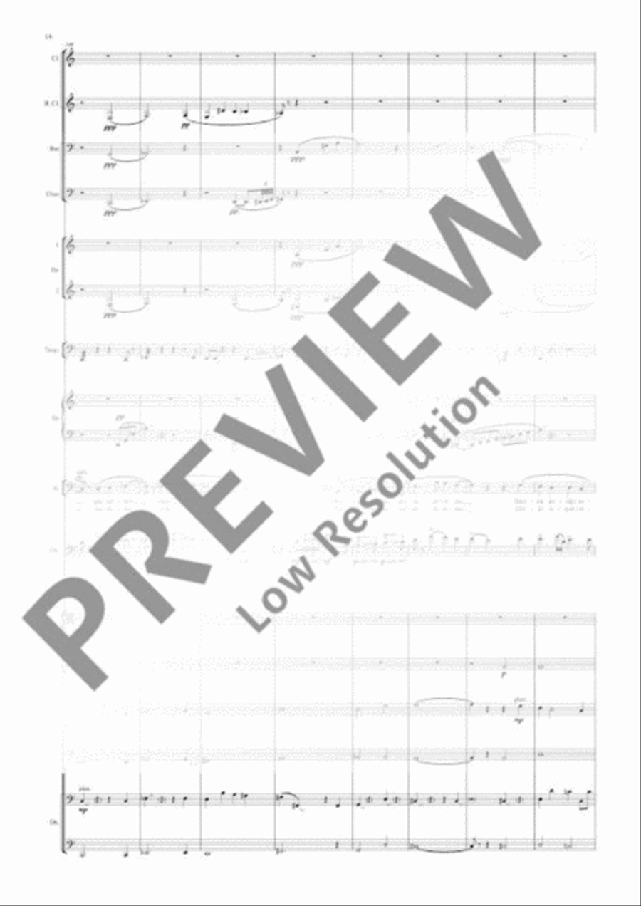 Double Bass Concerto Double Bass Concerto 3-Part scores gallery preview page 21