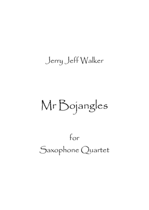 Book cover for Mr. Bojangles