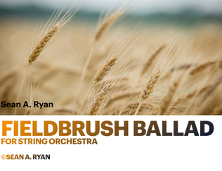 Fieldbrush Ballad - For String Orchestra