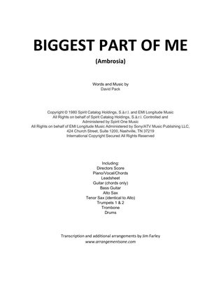 Book cover for Biggest Part Of Me