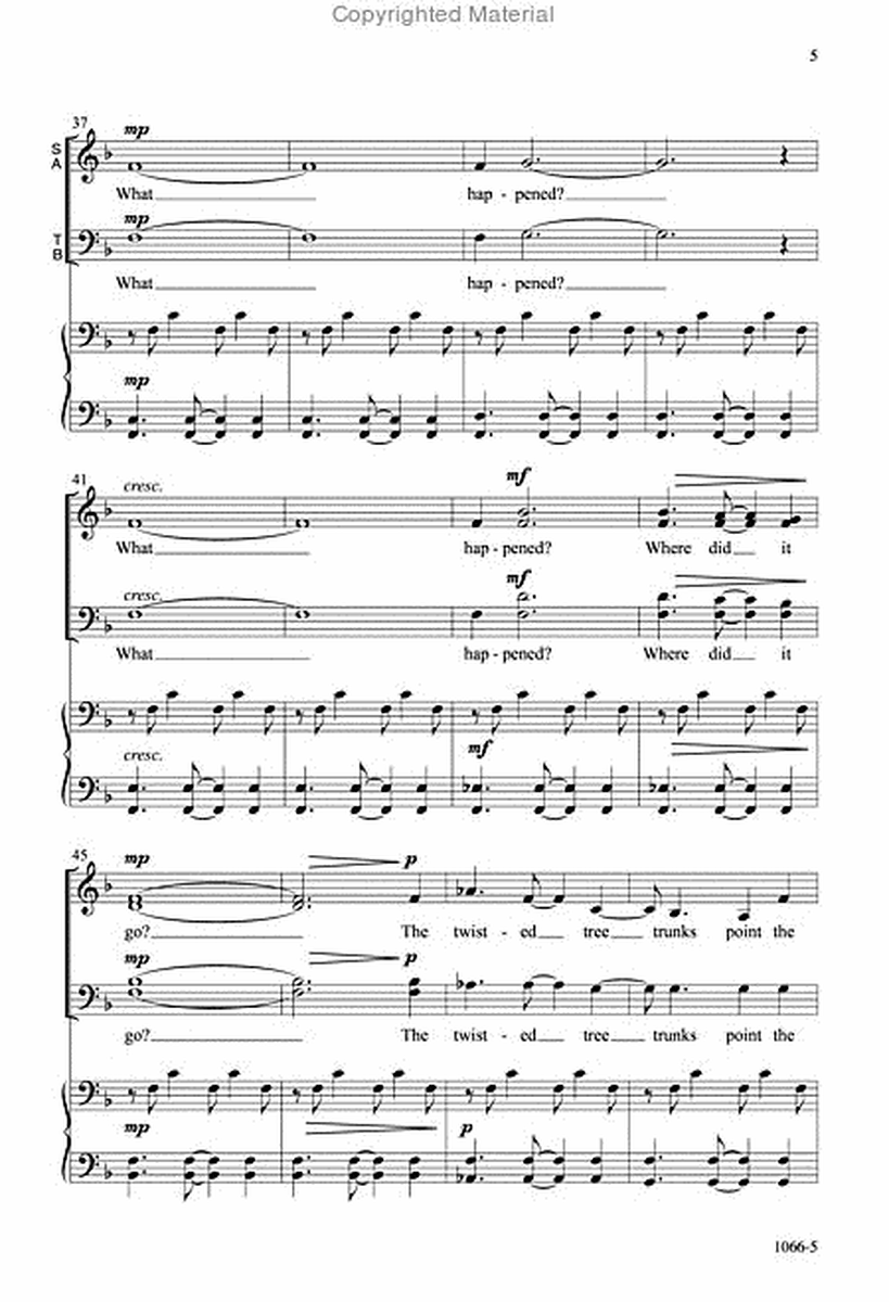 After the Storm - SATB Octavo image number null