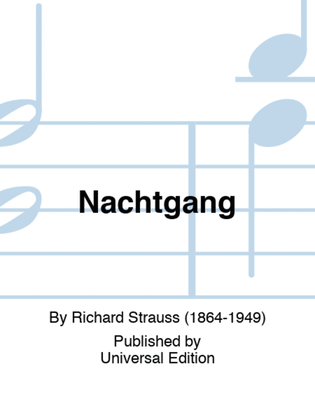 Book cover for Nachtgang