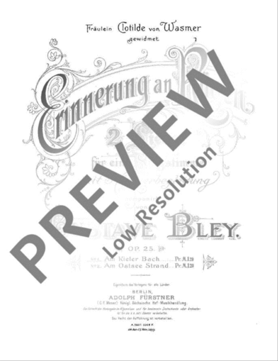 Erinnerung an Rügen Voice Solo scores gallery preview page 2