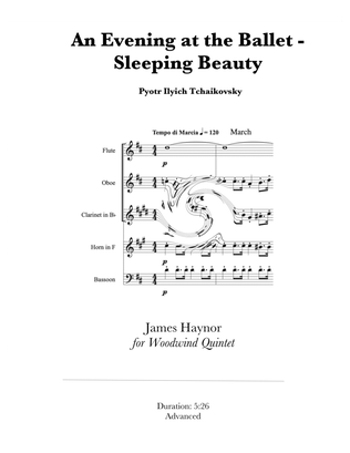 Book cover for A Night at the Ballet - Sleeping Beauty for Woodwind Quintet