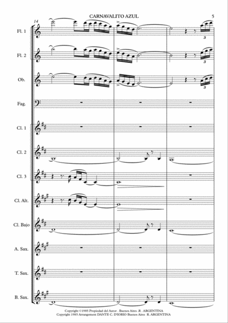CARNAVALITO AZUL -CANCION PUNEÑA Woodwind Ensemble scores gallery preview page 5