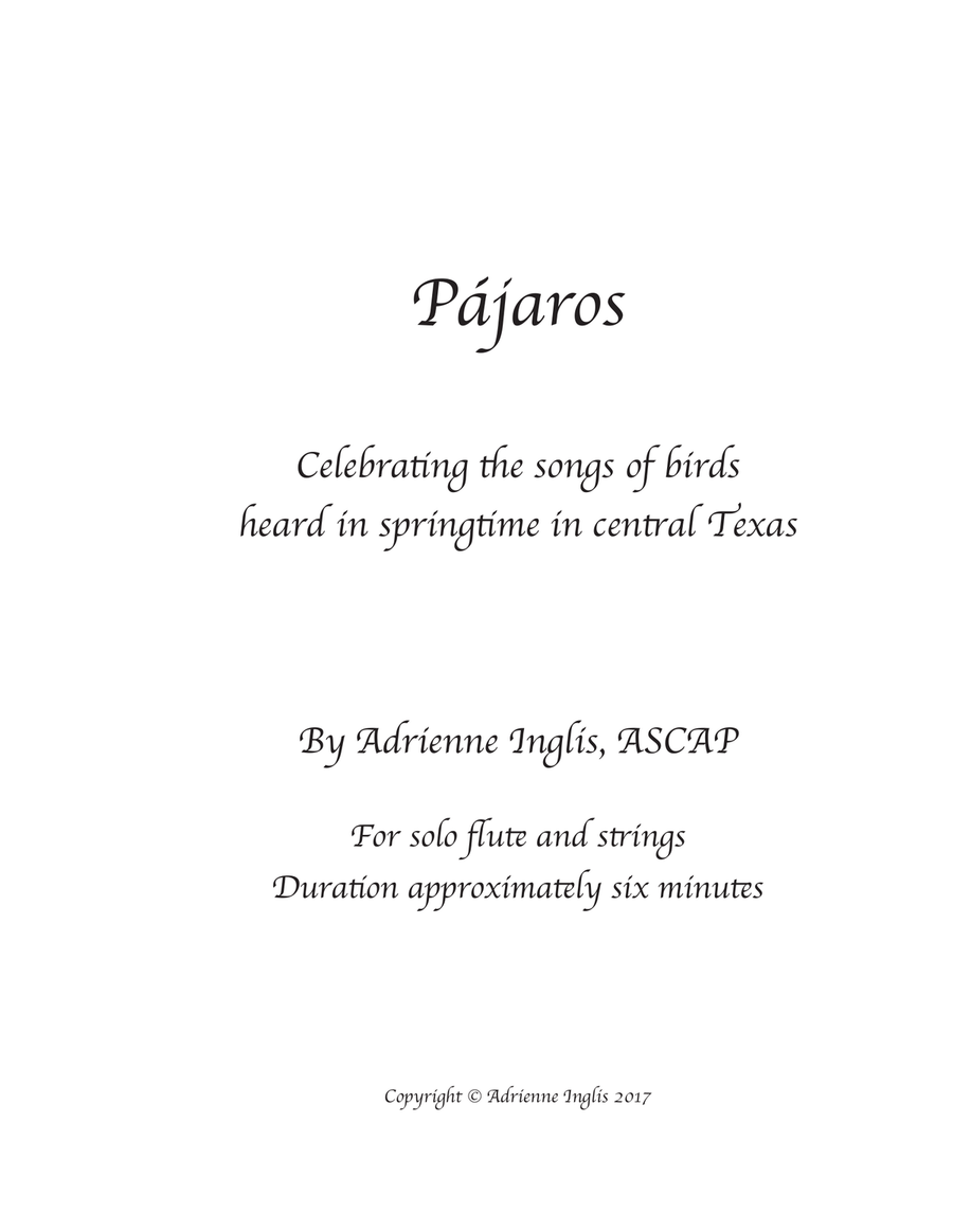 Pájaros (Birds) for solo flute and strings Chamber Orchestra scores gallery preview page 1