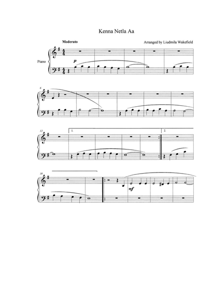 Cajun 2-step – Misc tunes Sheet music for Piano (Solo) Easy