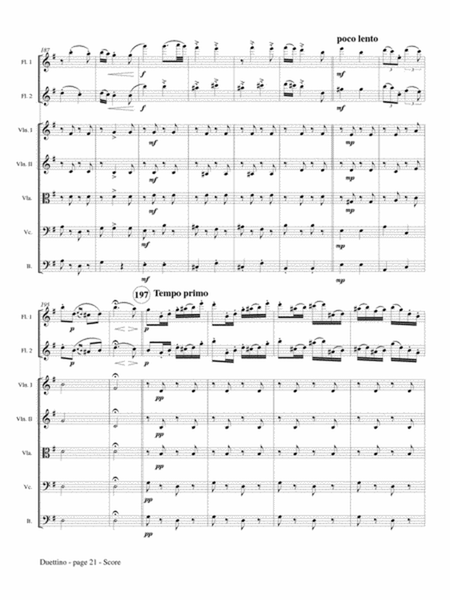 Duettino sur des Motifs Hongrois, Op. 36 (Two Flutes and Strings)