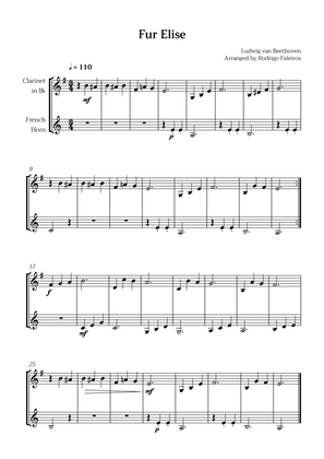 Fur Elise (for clarinet and french horn)