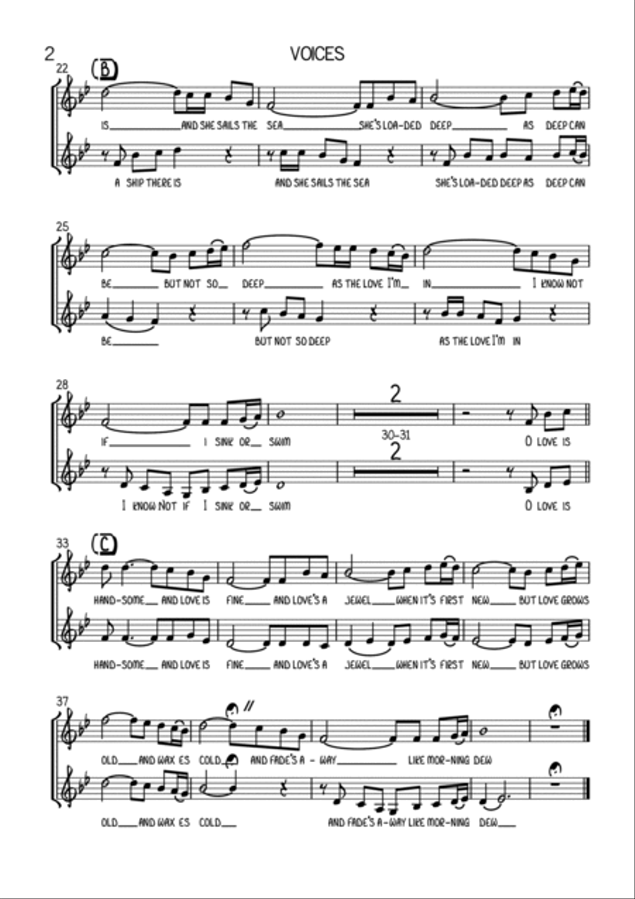 The Water is Wide Vocal Duet or Vocal Solo with Pops Orchestra Full Orchestra scores gallery preview page 6