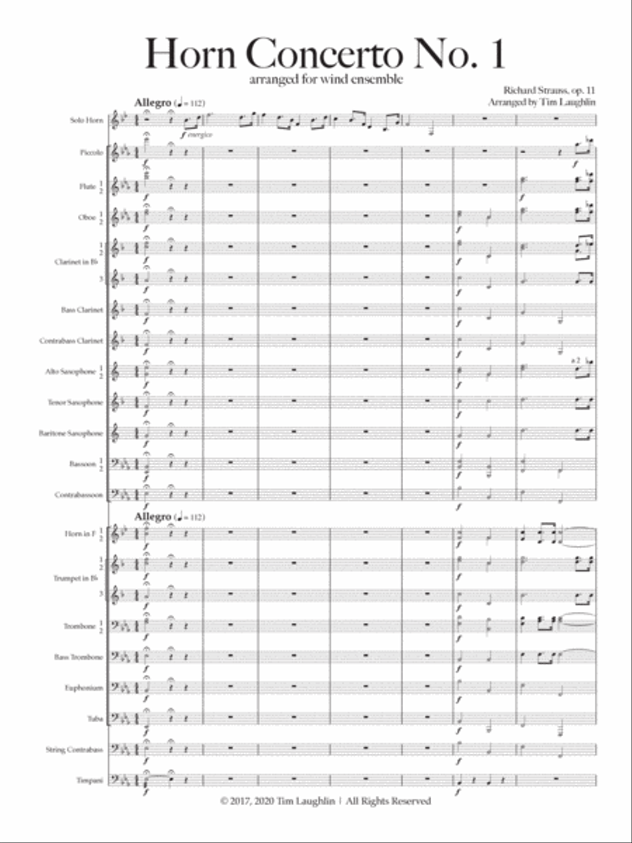 Horn Concerto No. 1 (R. Strauss, Band) Concert Band scores gallery preview page 5