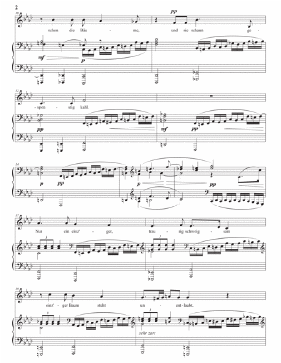 WOLF: Spätherbstnebel, kalte Träume (transposed to F minor) Voice scores gallery preview page 3