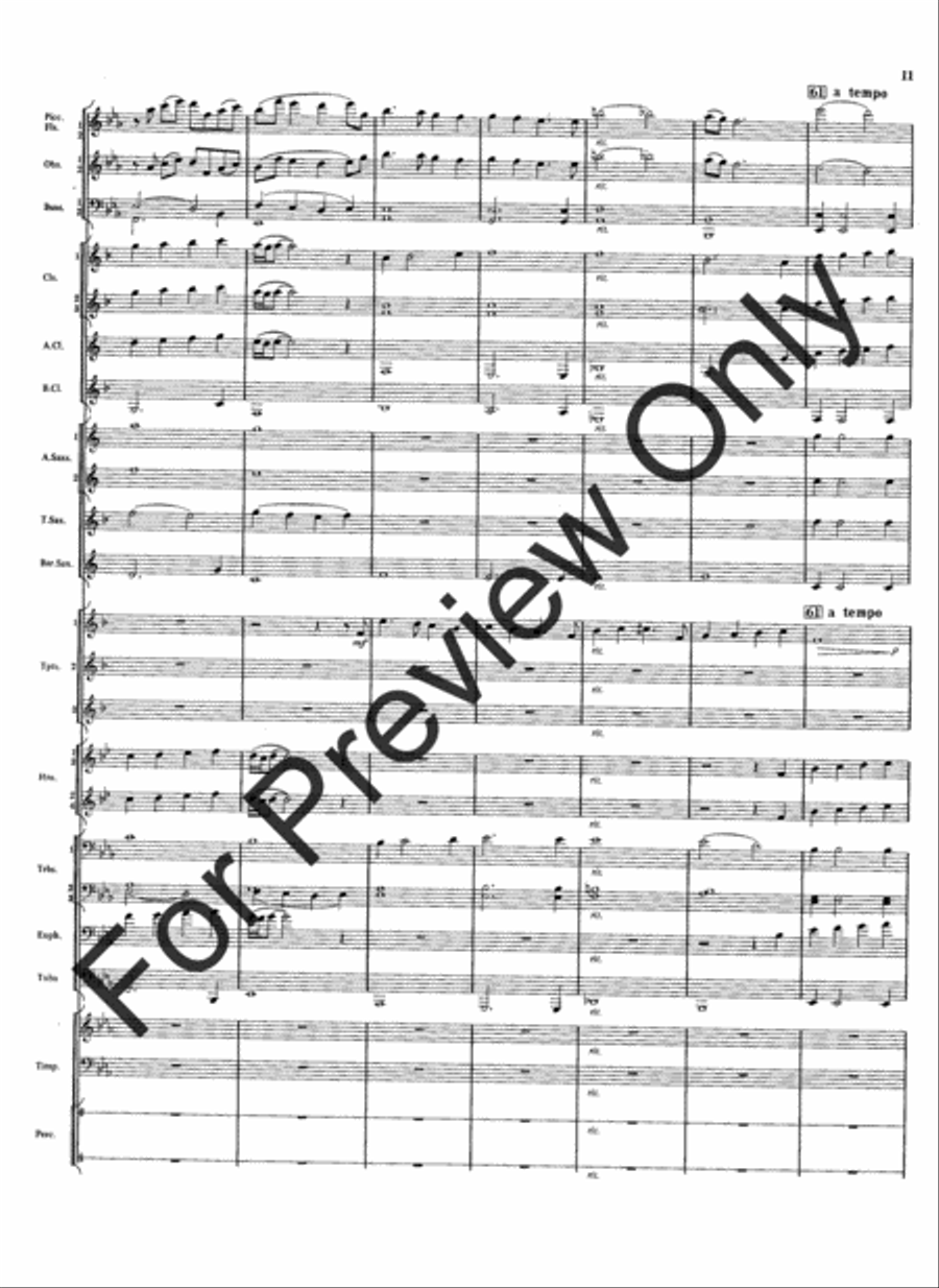 Meramec Rhapsody (Score) Concert Band scores gallery preview page 13