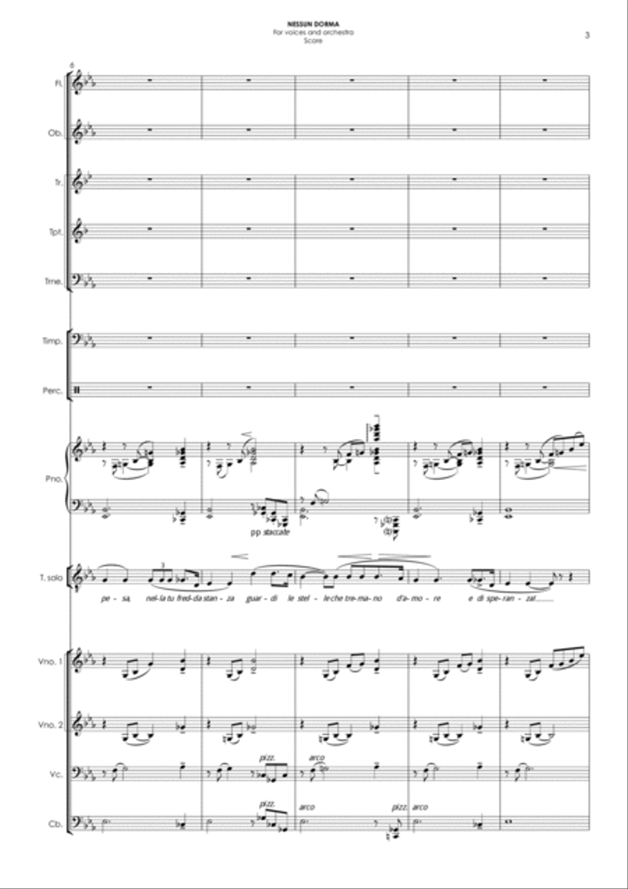 NESSUN DORMA (in Eb) - for voices & orchestra Chamber Orchestra scores gallery preview page 3