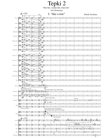 Tepki 2 (Reaction 2) for Orchestra - SCORE image number null