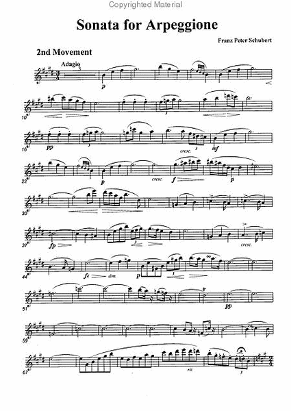 Sonata for Arpeggione 2nd and 3rd Movement