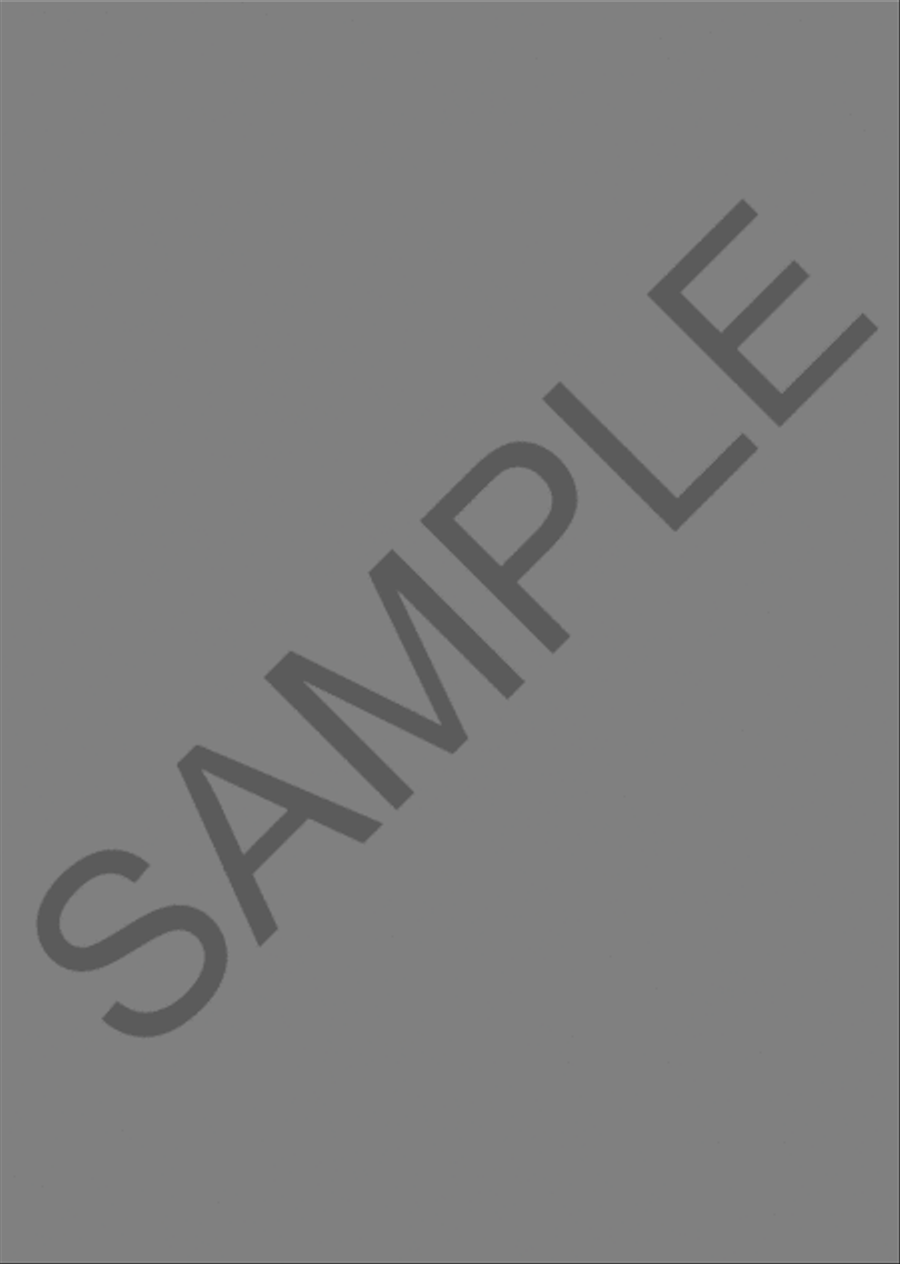 Developing String Orchestra Collection - Conductor (CD) Chamber Orchestra scores gallery preview page 2