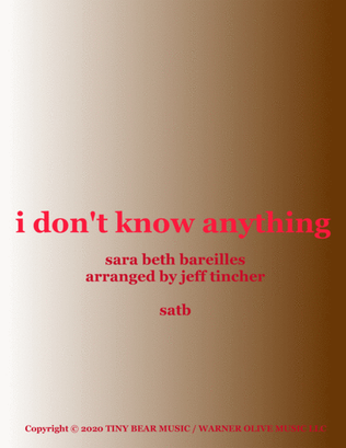 Book cover for I Don't Know Anything