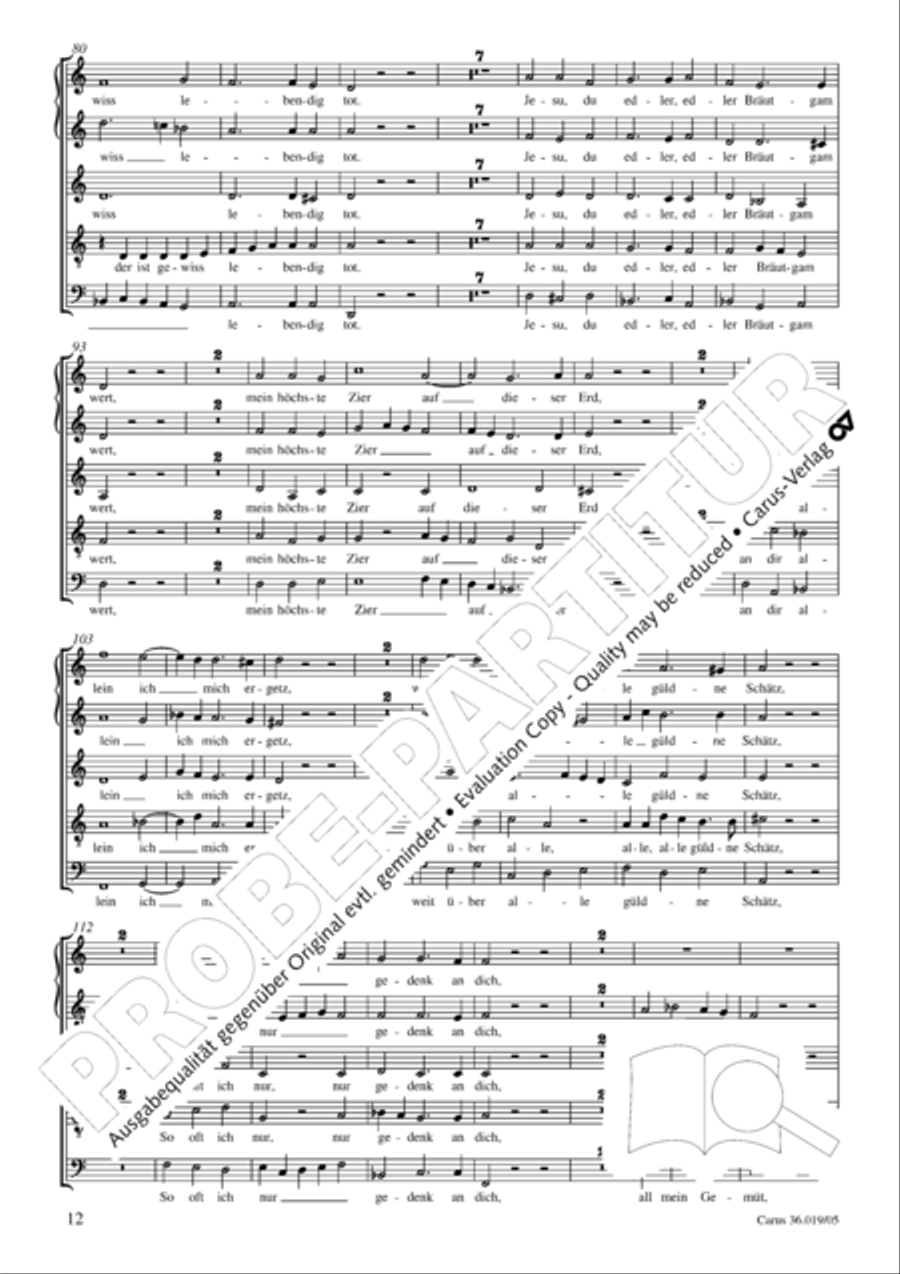 Last Judgment (Das jungste Gericht) SSATB scores gallery preview page 12