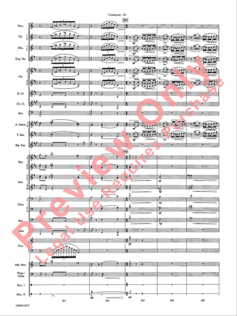 Harry Potter Symphonic Suite Concert Band scores gallery preview page 48