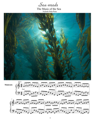 "Seaweeds" The Music of The Sea