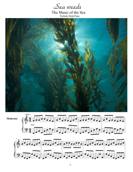 "Seaweeds" The Music of The Sea image number null