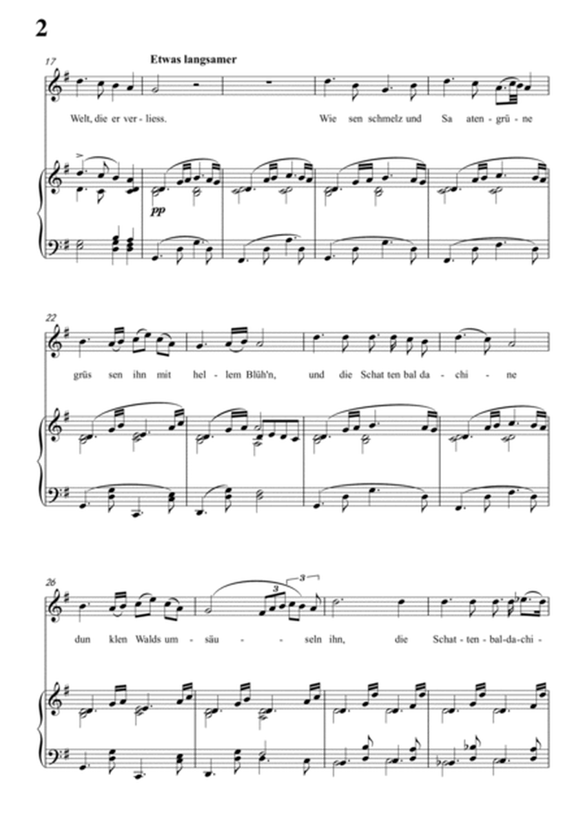 Schubert-Vergissmeinnicht in e minor,for Vocal and Piano
