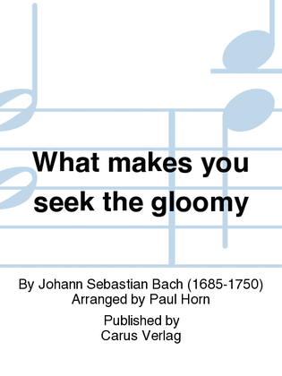 What makes you seek the gloomy (Was willst du dich betruben)