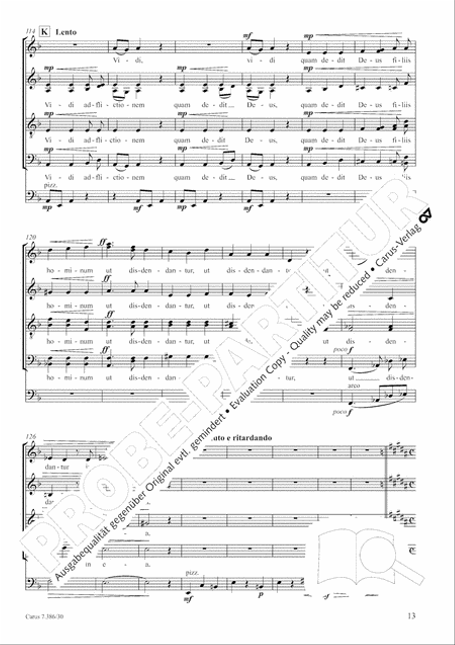 Omnia tempus habent Divisi scores gallery preview page 13