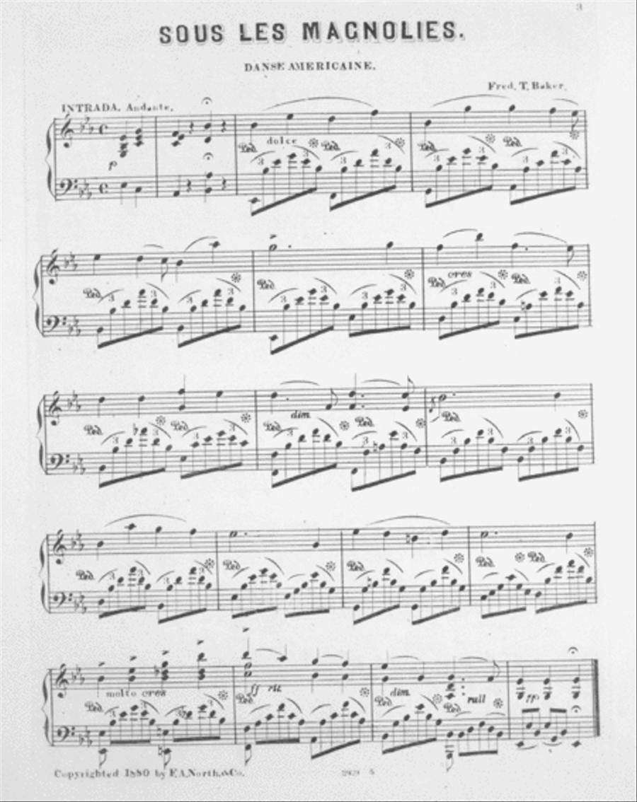 Sous Les Magnolies (Under the Magnolias). Danse Americaine Piano Solo scores gallery preview page 2