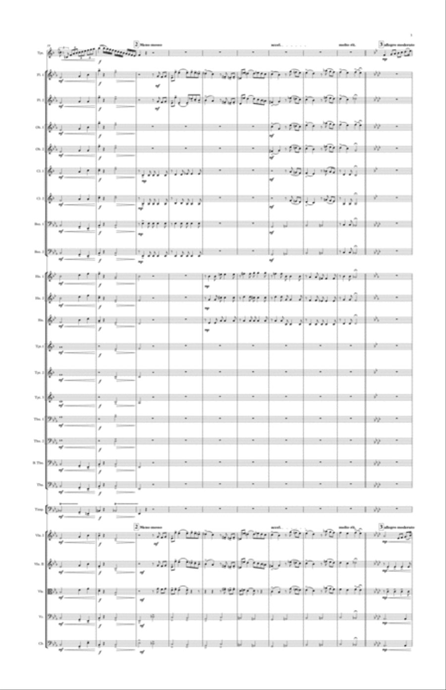 VASILLY BRANDT. TRUMPET CONCERT PIECE no 2. arrenged by KHUUSHAAN BATZAYA Full Orchestra scores gallery preview page 3
