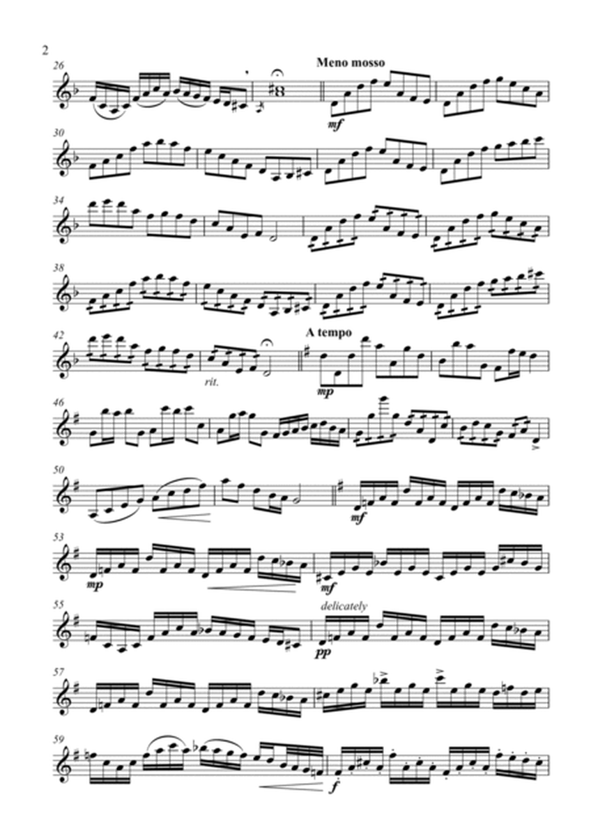 Partita for Solo Violin image number null