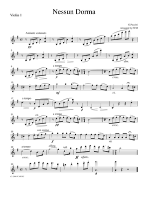 Puccini Nessun Dorma, for string quartet, CP201