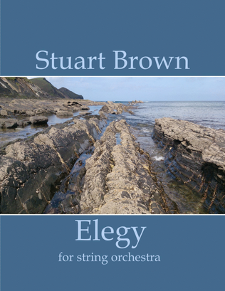Book cover for Elegy for String Orchestra - SCORE