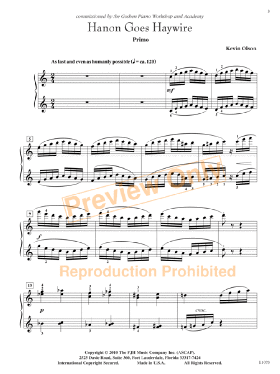 Hanon Goes Haywire Piano Solo scores gallery preview page 4
